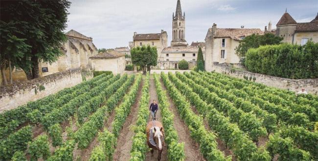 Clos Bernon Libourne Exterior photo